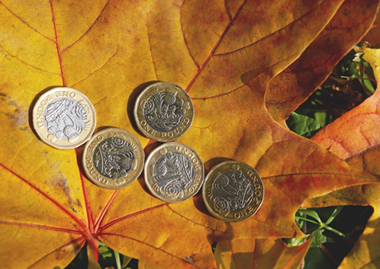 A group of coins on a leaf